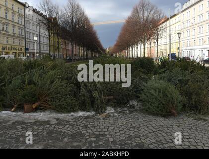 Illigal lo smaltimento degli alberi di Natale a Bordeauxplatz in Haidhausen. [Traduzione automatizzata] Foto Stock