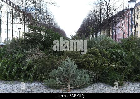 Illigal lo smaltimento degli alberi di Natale a Bordeauxplatz in Haidhausen. [Traduzione automatizzata] Foto Stock