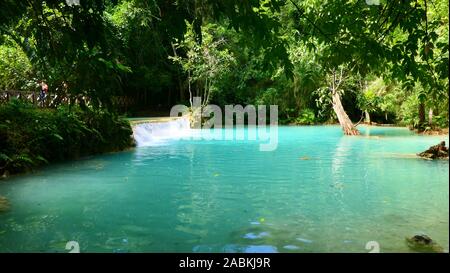 Una bellissima vista su un piccolo lago entro il Kuang Si scende a Luang Prabang, Laos Foto Stock