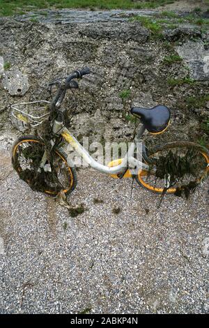 Noleggio pescate dall'Isar dal noleggio di Singapore bike company Obike. [Traduzione automatizzata] Foto Stock