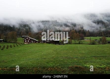 Scandinavo piccoli borghi autentici, vecchie case, moderna vita eremita, può erba e nebbia. Splendido biglietto di auguri o un banner Foto Stock