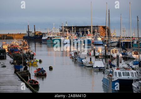 La flotta di pesca e si prega di barche nel porto di Bridlington nella luce della sera. Foto Stock