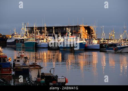 La flotta di pesca e si prega di barche nel porto di Bridlington nella luce della sera. Foto Stock