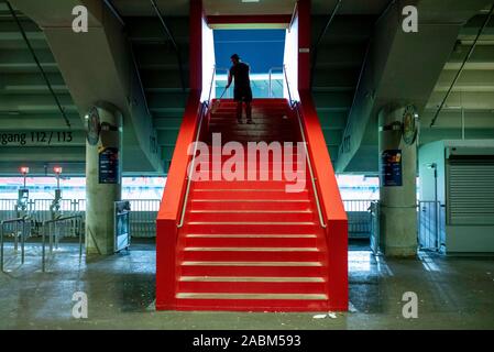 Impressione dalla Allianz Arena di Monaco di Baviera dopo la fine della prima giornata della Audi Cup 2019. Dopo la sera corrispondono i preparativi per la prossima partita già iniziare a. La foto mostra una scala che viene pulita. [Traduzione automatizzata] Foto Stock