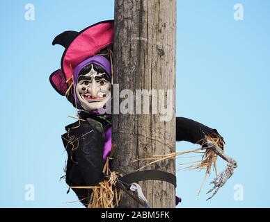 Halloween spaventapasseri di una strega su un palo in New Inn, Tipperary, Irlanda Foto Stock