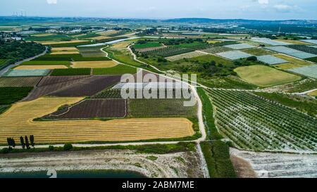 Campi agricoli di kibbutzim nella valle Menashe Foto Stock