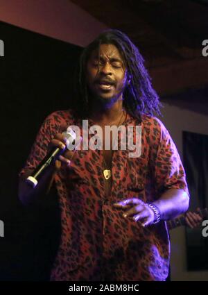 MALIBU, CA - 27 novembre: Shwayze, a Shwayze Casa per le vacanze Live dal Malibu a Casa Escobar in Malibu, la California il 27 novembre 2019. Credit Faye Sadou/MediaPunch Foto Stock