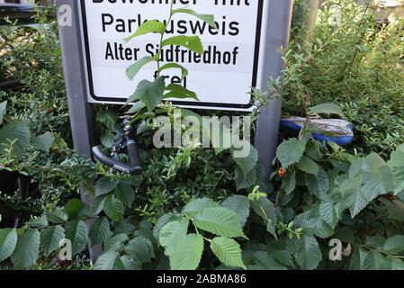 Bicicletta incarniti all'angolo Frauenlobstraße / Waltherstraße nel Isarvorstradt. [Traduzione automatizzata] Foto Stock