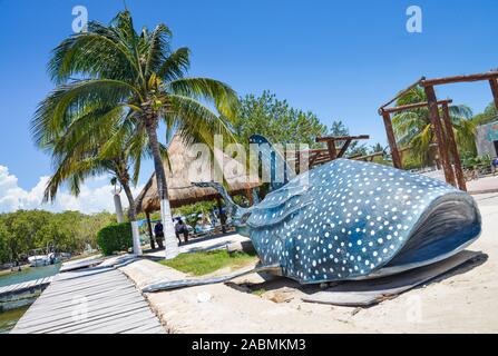 Walhai, Attrappe, Isla Holbox, Quintana Roo, Mexiko Foto Stock