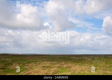 Salzwiesen Am Rande der Heide Braderuper am Wattenmeer bei Kampen Foto Stock