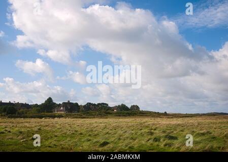 Salzwiesen Am Rande der Heide Braderuper am Wattenmeer bei Kampen Foto Stock