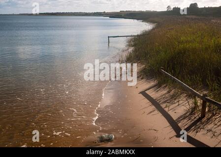 Salzwiesen Am Rande der Heide Braderuper am Wattenmeer bei Kampen Foto Stock