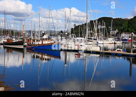 Barche ormeggiate a Tarbert Marina in Loch Fyne, Argyll & Bute, Scozia Foto Stock