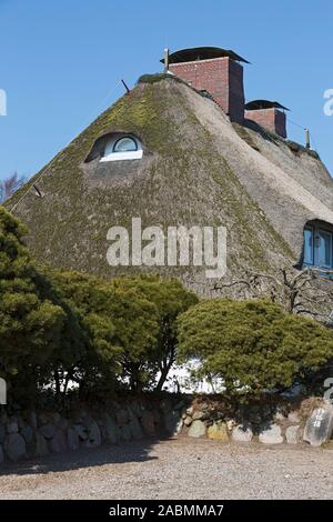 Wohnhaus mit Reetdach in Keitum auf Sylt , Dettaglio Foto Stock