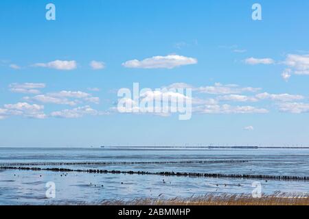 Blick Ueber das Wattenmeer von Keitum bis Morsum auf Sylt Foto Stock