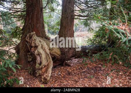 Intorno al Regno Unito - Banca Hall, Lancashire Foto Stock