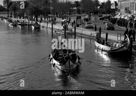 Moliceiro barche sul canale centrale in Aveiro Portogallo Foto Stock