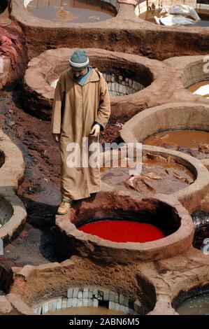 Cuoio marocchino Lavoratore che indossa Kaftan & morendo box incl. Papavero rosso colorante a Chouara conceria o concerie nel Fes el Bali District Fez o Fes Marocco Foto Stock