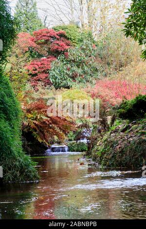 Colore di autunno in giardino Lukesland sovrasta il Addenbrook Foto Stock