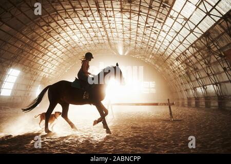 Maestosa immagine del cavallo cavallo silhouette con pilota sul tramonto sullo sfondo. La ragazza fantino sul retro di uno stallone corse in un hangar in una farm e Foto Stock