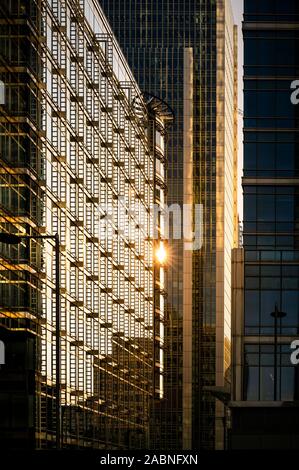 Città moderna sky raschiatori con facciate in vetro in un giorno chiaro al tramonto a Londra in Inghilterra Foto Stock