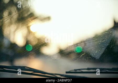 Sfocata vista fuori da un auto parabrezza anteriore con un tramonto, traffico verde luci e tergivetri del parabrezza Foto Stock