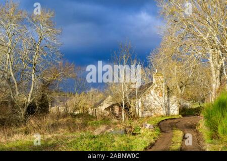 Vecchia Fattoria abbandonati edifici circondati da alberi di cenere (Fraxinus excelsior) e un cielo d'inverno Foto Stock