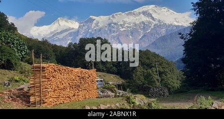 Annapurna massif, visto dal villaggio himalayana di Sikles, Nepal Foto Stock