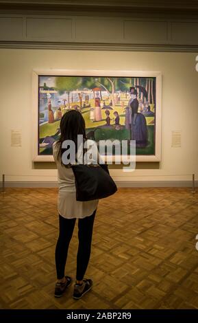 Visitatore guardando Georges Seurat la pittura una domenica sul Grande Jatte, 1884, l'Art Institute of Chicago, Chicago, Illinois, Stati Uniti d'America Foto Stock