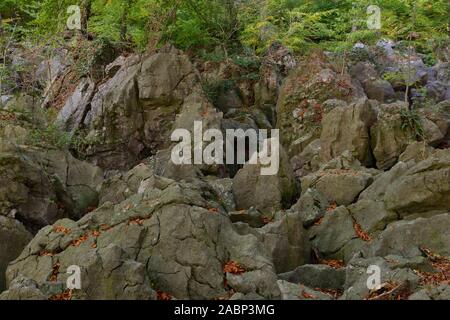 Felsenmeer, famosa Riserva naturale, mare di rocce, rock caos di Hemer, selvaggiamente romantico bosco di faggio in autunno, rientrano, in Germania, in Europa. Foto Stock