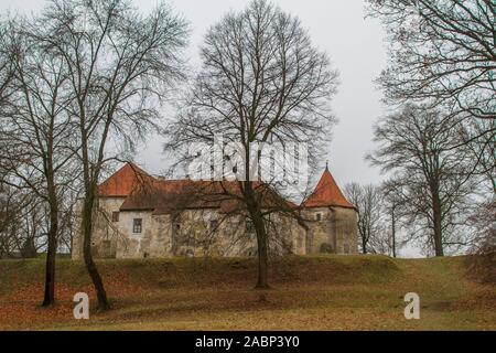 Tvrz Cuknstejn (castello) Zuckenstein, Tercino udoly, Nové Hrady, Repubblica Ceca Foto Stock