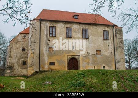 Tvrz Cuknstejn (castello) Zuckenstein, Tercino udoly, Nové Hrady, Repubblica Ceca Foto Stock