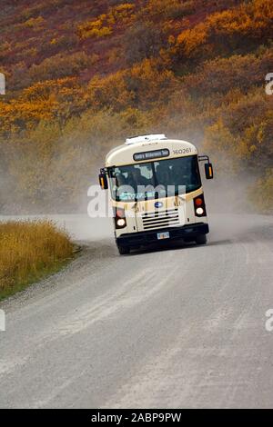 Bus sul Denali National Park road, Alaska, STATI UNITI D'AMERICA Foto Stock