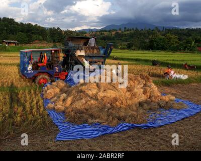 Coppia campo di riso viene raccolta mediante la macchina nel nord della Thailandia Foto Stock