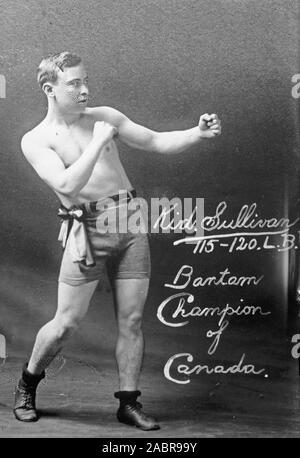 Kid Sullivan Peso gallo Campione del Canada ca. 1910-1915 Foto Stock