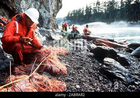 Prince William Sound, AK (Mar. 28)--Coast Guardsman controlli di recupero olio mesh come altri sbuffo di vapore rocce e coste bagnare con olio grezzo dalla fuoriuscita di petroliera Exxon Valdez. La Exxon Valdez si è arenata sulla Bligh Reef in Prince William Sound, Alaska, 23 marzo 1989 la fuoriuscita di 11 milioni di galloni di petrolio greggio che ha provocato la più grande marea nera nella storia degli Stati Uniti. Foto Stock