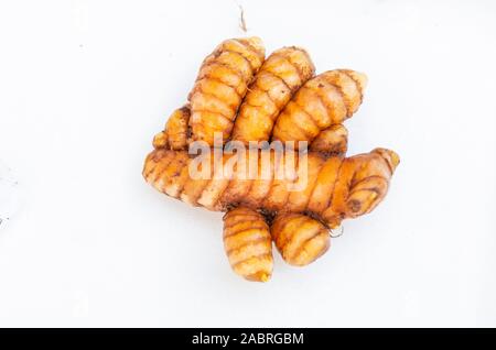 Curcuma appena raccolta Foto Stock