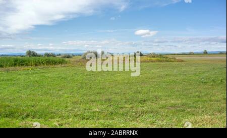 Idilliaco paesaggio rurale attorno a Illmitz in una zona denominata Burgenland in Austria Foto Stock