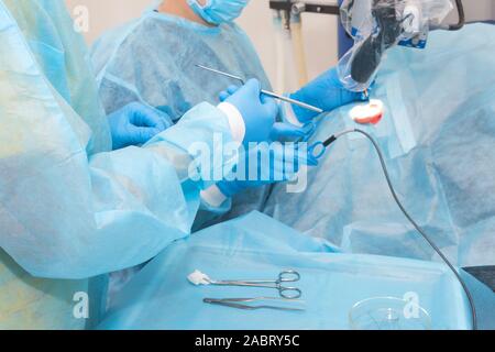 Medico di mano uno strumento di contenimento in sala operatoria. Strumenti per Chirurgia in scatola sterile. Medicina e chirurgia concetto. Foto Stock