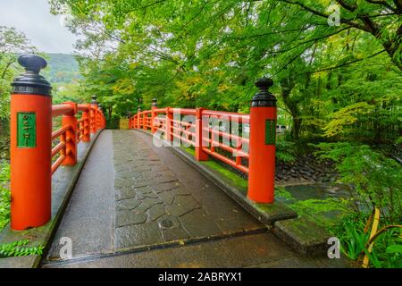 Shuzenji, Giappone - 18 Ottobre 2019: vista di un ponte sopra il fiume Katsura, in Shuzenji, Penisola di Izu, Giappone Foto Stock