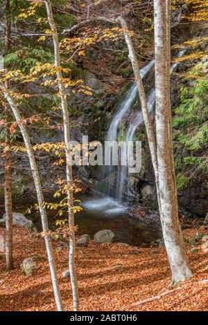 Cascata nella foresta Frakto a Rodopi Mountain Range national park Foto Stock