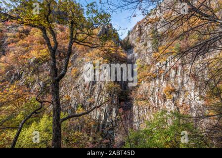 Paesaggio in foresta Frakto a Rodopi con fogliame di autunno e cascate Foto Stock