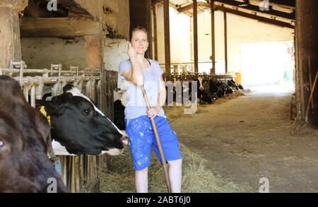L'agricoltore femmina di alimentazione e le mucche in una stalla e orgoglioso della sua carriera Foto Stock