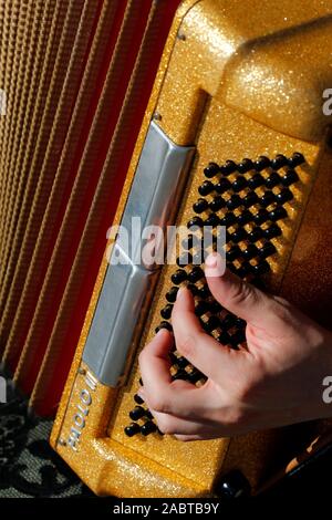 Saint-Gervais folk spettacolo di strada con la Chamoschire. Lettore di fisarmonica. La Francia. Foto Stock