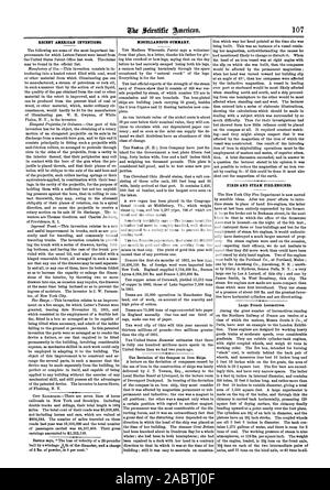 Scientific American, 1862-08-16 Foto Stock