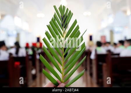 Domenica delle Palme. Il ramo di palma è associato con Gesù ingresso trionfale. Hoi An Cattedrale. Il Vietnam. Foto Stock