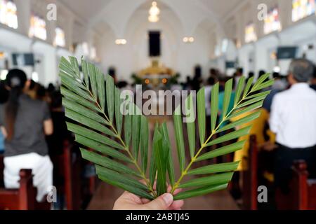 Domenica delle Palme. Il ramo di palma è associato con Gesù ingresso trionfale. Hoi An Cattedrale. Il Vietnam. Foto Stock