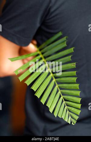 Domenica delle Palme. Il ramo di palma è associato con Gesù ingresso trionfale. Hoi An Cattedrale. Il Vietnam. Foto Stock