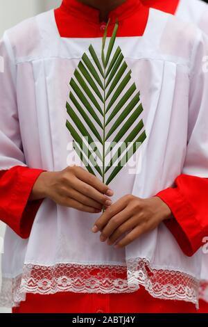 Domenica delle Palme. Altare ragazzo con un ramo di palma. Hoi An Cattedrale. Il Vietnam. Foto Stock