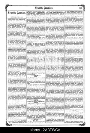 American genio inventivo e leggi brevettuali American Life barche e carri Militari in Europa. Brevetti. Incidenti da IIghtning. e fluido di balena Esagodons. Inizio di frumento. Note su InventionsNo brevettato. 10., Scientific American, 56-06-21 Foto Stock